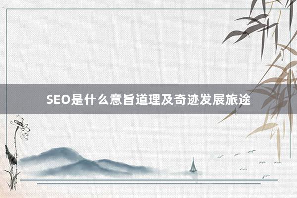 SEO是什么意旨道理及奇迹发展旅途